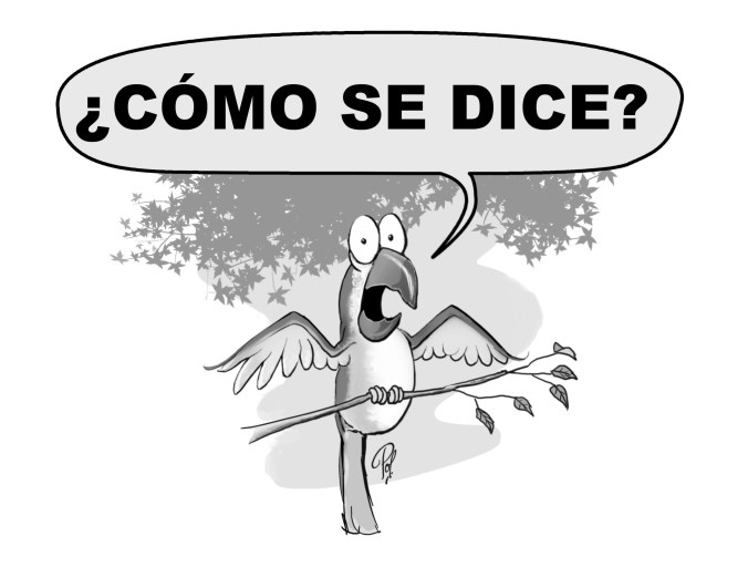 se-dice-el-maraton-o-la-maraton