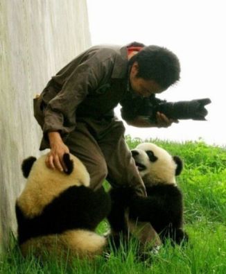 september-01-2011-22-24-49-morningpicdump464023secondpicdump2s495x600212228580